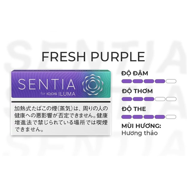 Sentia Fresh Purple
