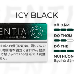 Sentia Icy Black