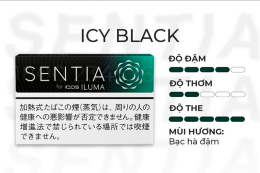 Sentia Icy Black