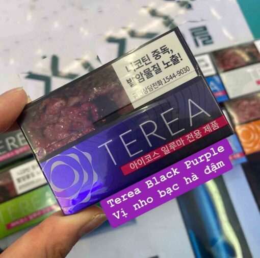 Terea Black Purple Hàn Quốc