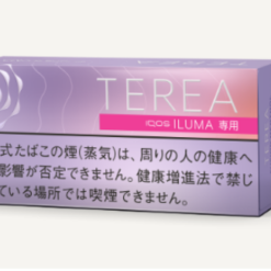 Terea Fusion Menthol Nhật