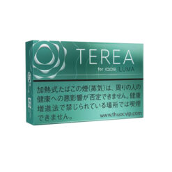 Terea Mint Nhật