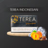 Terea Dimension Apricity Indo